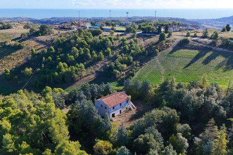 Landejendom i Ripatransone, Ascoli Piceno, Ripatransone - € 500.000 | Ref: 33676 - foto 7