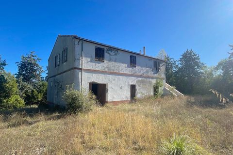 Landejendom i Ripatransone, Ascoli Piceno, Ripatransone - € 500.000 | Ref: 33676 - foto 9