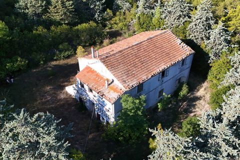 Landejendom i Ripatransone, Ascoli Piceno, Ripatransone - € 500.000 | Ref: 33676 - foto 10