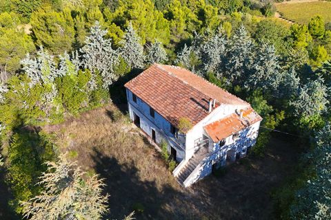 Landejendom i Ripatransone, Ascoli Piceno, Ripatransone - € 500.000 | Ref: 33676 - foto 12