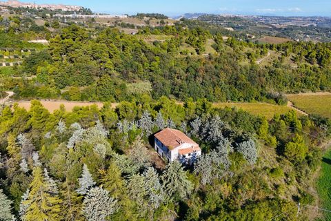 Landejendom i Ripatransone, Ascoli Piceno, Ripatransone - € 500.000 | Ref: 33676 - foto 21