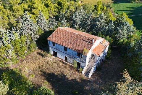 Landejendom i Ripatransone, Ascoli Piceno, Ripatransone - € 500.000 | Ref: 33676 - foto 24