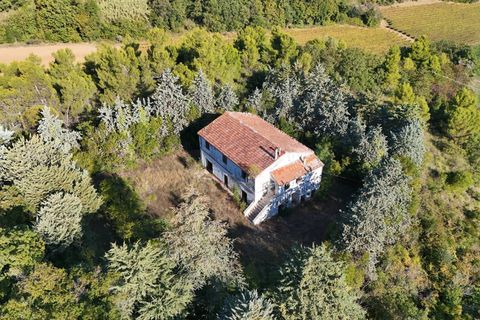 Landejendom i Ripatransone, Ascoli Piceno, Ripatransone - € 500.000 | Ref: 33676 - foto 25