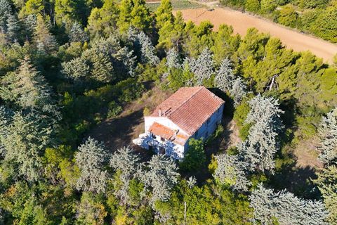 Landejendom i Ripatransone, Ascoli Piceno, Ripatransone - € 500.000 | Ref: 33676 - foto 26
