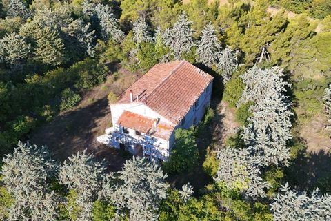 Landejendom i Ripatransone, Ascoli Piceno, Ripatransone - € 500.000 | Ref: 33676 - foto 27