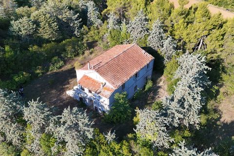 Landejendom i Ripatransone, Ascoli Piceno, Ripatransone - € 500.000 | Ref: 33676 - foto 28