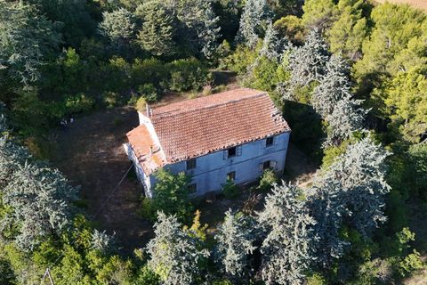 Landejendom i Ripatransone, Ascoli Piceno, Ripatransone - € 500.000 | Ref: 33676 - foto 29