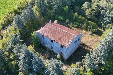 Landejendom i Ripatransone, Ascoli Piceno, Ripatransone - € 500.000 | Ref: 33676 - foto 30