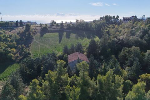 Landejendom i Ripatransone, Ascoli Piceno, Ripatransone - € 500.000 | Ref: 33676 - foto 31
