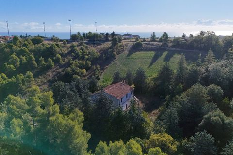Landejendom i Ripatransone, Ascoli Piceno, Ripatransone - € 500.000 | Ref: 33676 - foto 32