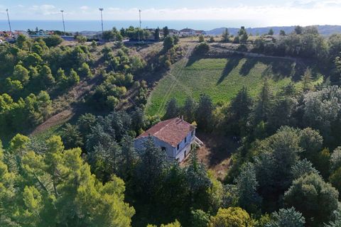 Landejendom i Ripatransone, Ascoli Piceno, Ripatransone - € 500.000 | Ref: 33676 - foto 33