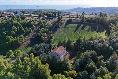 Landejendom i Ripatransone, Ascoli Piceno, Ripatransone - € 500.000 | Ref: 33676 - foto 34