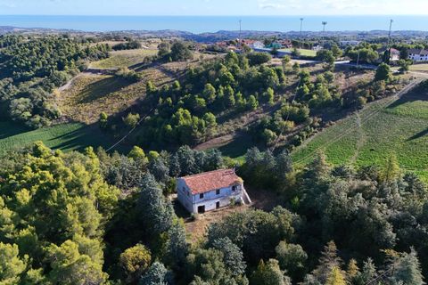 Landejendom i Ripatransone, Ascoli Piceno, Ripatransone - € 500.000 | Ref: 33676 - foto 35