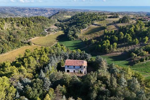 Landejendom i Ripatransone, Ascoli Piceno, Ripatransone - € 500.000 | Ref: 33676 - foto 36