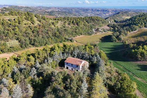 Landejendom i Ripatransone, Ascoli Piceno, Ripatransone - € 500.000 | Ref: 33676 - foto 37