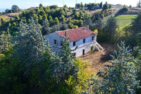 Landejendom i Ripatransone, Ascoli Piceno, Ripatransone - € 500.000 | Ref: 33676 - foto 39