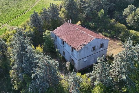 Landejendom i Ripatransone, Ascoli Piceno, Ripatransone - € 500.000 | Ref: 33676 - foto 40