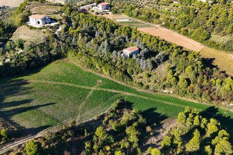 Landejendom i Ripatransone, Ascoli Piceno, Ripatransone - € 500.000 | Ref: 33676 - foto 41
