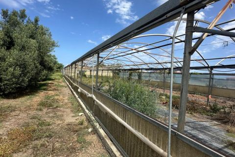 Terra a Milazzo, Messina, Milazzo - € 50.000 | Ref: TA004 - foto 2