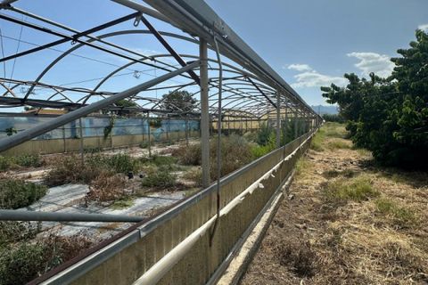 Terra a Milazzo, Messina, Milazzo - € 50.000 | Ref: TA004 - foto 3