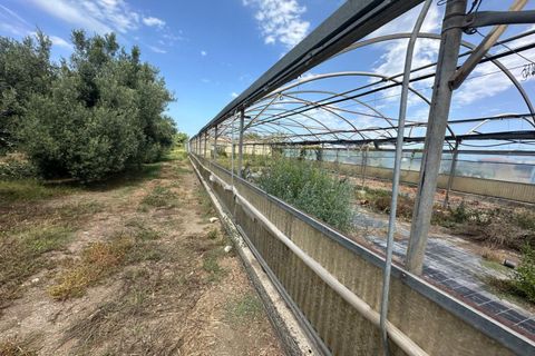 Terra a Milazzo, Messina, Milazzo - € 50.000 | Ref: TA004 - foto 4