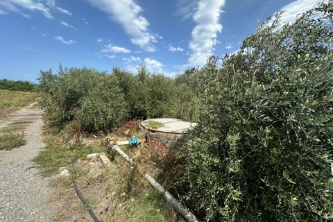 Terra a Milazzo, Messina, Milazzo - € 50.000 | Ref: TA004 - foto 6