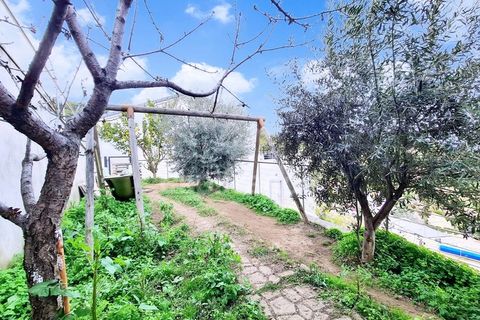 Appartement in Folelli, Haute-Corse, Folelli - € 357.000 | Ref: 340934053561 - foto 4