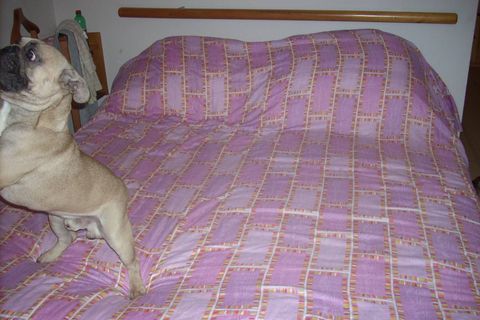 Lejlighed i Pisa, Pisa, Pisa - € 120.000 | Ref: 2025222 - foto 12