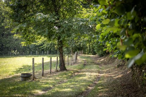 Farm hus i Lalinde, Dordogne, Lalinde - € 1.350.000 | Ref: 41472C24133548F7 - foto 10