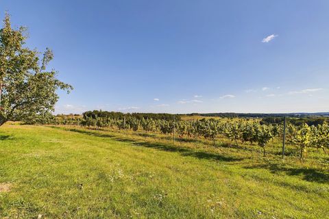Villa i Saussignac, Dordogne, Saussignac - € 720.000 | Ref: BVI77144 - foto 14