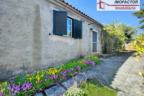 Farm hus i Castelo Branco, Castelo Branco, Castelo Branco - € 59.500 | Ref: 21-11870 - foto 2
