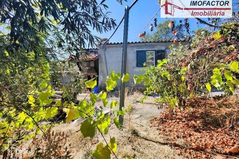 Farm hus i Castelo Branco, Castelo Branco, Castelo Branco - € 59.500 | Ref: 21-11870 - foto 4