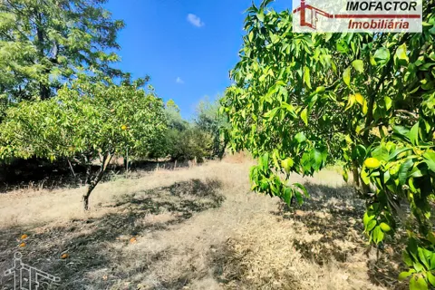 Farm hus i Castelo Branco, Castelo Branco, Castelo Branco - € 59.500 | Ref: 21-11870 - foto 5