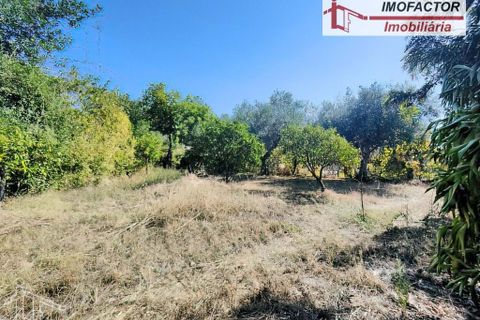 Farm hus i Castelo Branco, Castelo Branco, Castelo Branco - € 59.500 | Ref: 21-11870 - foto 6