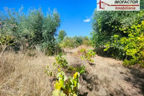 Farm hus i Castelo Branco, Castelo Branco, Castelo Branco - € 59.500 | Ref: 21-11870 - foto 7