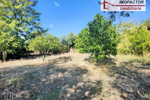 Farm hus i Castelo Branco, Castelo Branco, Castelo Branco - € 59.500 | Ref: 21-11870 - foto 8