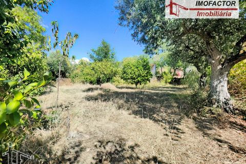 Farm hus i Castelo Branco, Castelo Branco, Castelo Branco - € 59.500 | Ref: 21-11870 - foto 9