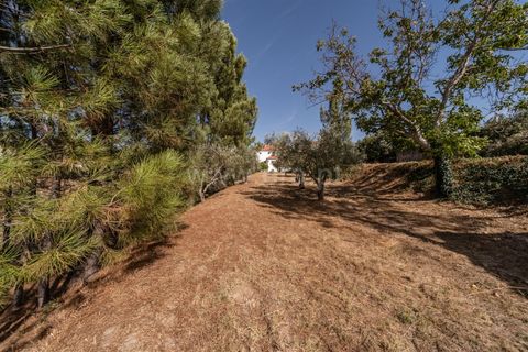 Villa a Covilha, Castelo Branco, Covilha - € 432.000 | Ref: 111250191 - foto 4