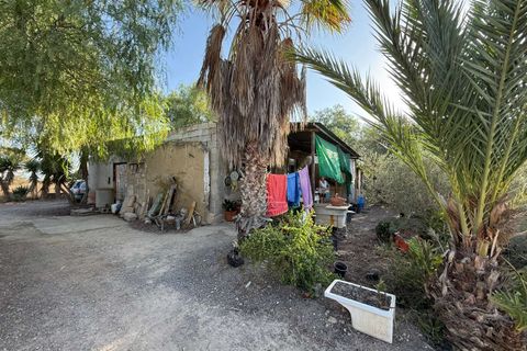 Finca i Elche, Alicante, Elche - € 159.950 | Ref: RS44 - foto 15