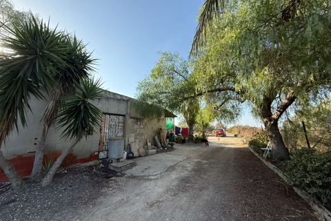 Finca i Elche, Alicante, Elche - € 159.950 | Ref: RS44 - foto 16