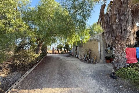 Finca i Elche, Alicante, Elche - € 159.950 | Ref: RS44 - foto 17