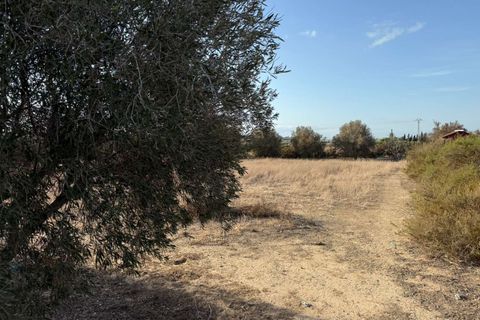 Finca i Elche, Alicante, Elche - € 159.950 | Ref: RS44 - foto 18