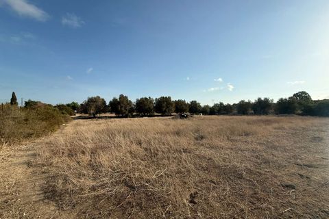Finca i Elche, Alicante, Elche - € 159.950 | Ref: RS44 - foto 20