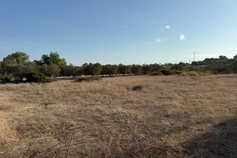 Finca i Elche, Alicante, Elche - € 159.950 | Ref: RS44 - foto 21