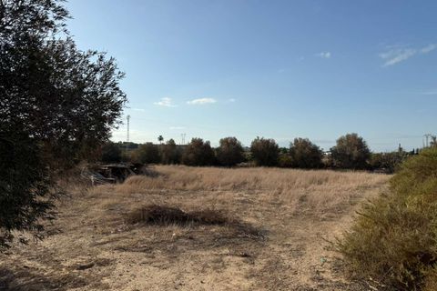 Finca i Elche, Alicante, Elche - € 159.950 | Ref: RS44 - foto 22