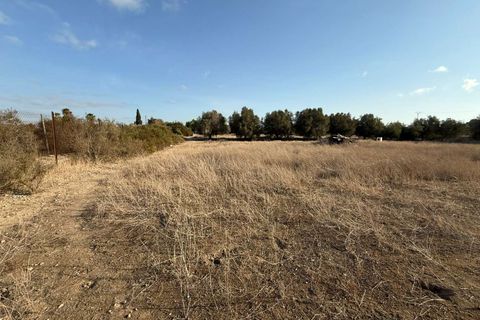 Finca i Elche, Alicante, Elche - € 159.950 | Ref: RS44 - foto 23