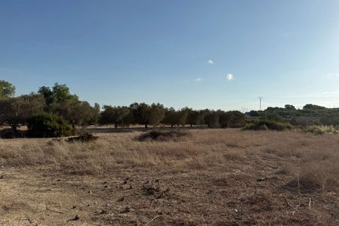 Finca i Elche, Alicante, Elche - € 159.950 | Ref: RS44 - foto 24