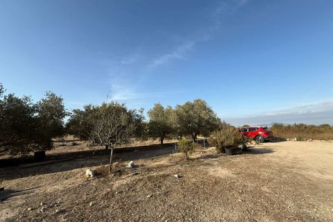 Finca i Elche, Alicante, Elche - € 159.950 | Ref: RS44 - foto 25