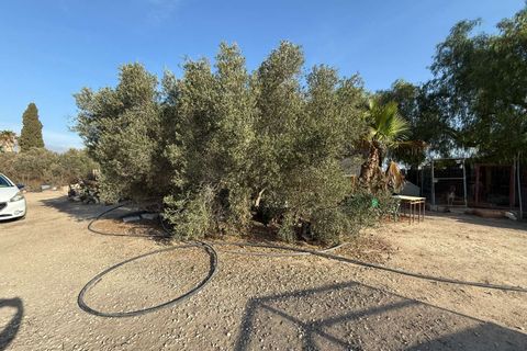 Finca i Elche, Alicante, Elche - € 159.950 | Ref: RS44 - foto 26