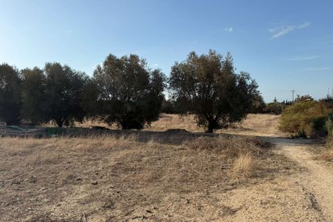 Finca i Elche, Alicante, Elche - € 159.950 | Ref: RS44 - foto 27